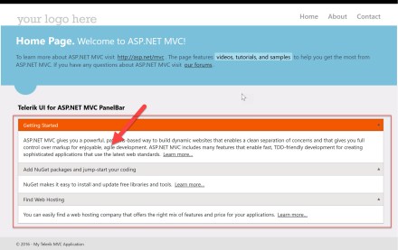 UI for ASP.NET MVC - Standard Project Type