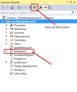 ASP.NET Core Project Structure